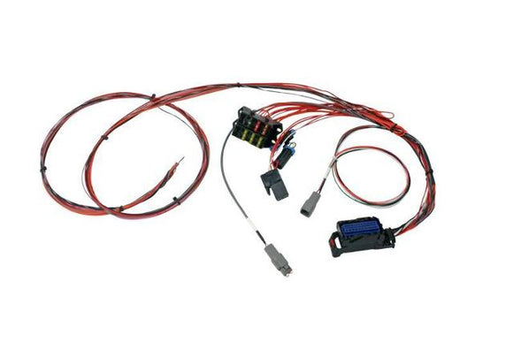 AEM Infinity-6/8h Mini-Harness Plug & Pin Kit - 30-3705
