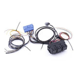 Hybrid Racing Universal Conversion Harness (K-Series ANY CHASSIS) HYB-CWH-01-99