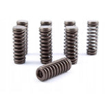 Honda K-Series Lost Motion Springs LMA (Set of 8) K20 K24 - 14820-PNA-013