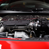 Acuity K20C Engine Cover in Forged Carbon Fiber, Gloss Finish