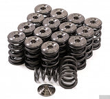 GSC P-D Honda B-Series Vtec Dual Spring Set and Titanium Retainer