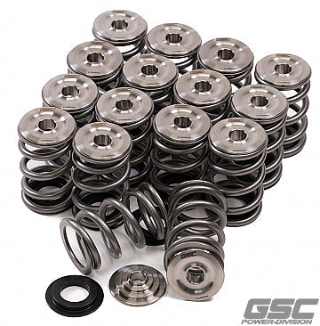 GSC P-D 3SGTE Spring and Titanium Retainer Kit for Shim Under Bucket