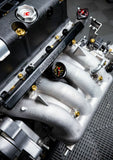 K-Tuned Fuel Rail with 6AN adapter & 8AN plug and EFI Fitting BLACK KTD-KRB-F20