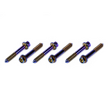SpeedFactory Racing Titanium Rear Lower Control Arm Bolt Kit - BURNT