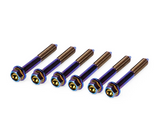 SpeedFactory Racing Titanium Rear Lower Control Arm Bolt Kit - BURNT