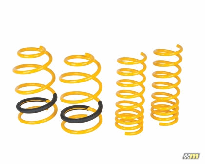 mountune Sport Spring Set for 14-15 Ford Focus ST