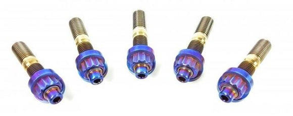 SpeedFactory Honda/Acura K-Series Titanium Exhaust Manifold Stud Kit Burnt